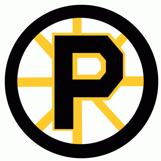 Providence Bruins 1992 93-1994 95 Primary Logo iron on transfers for T-shirts